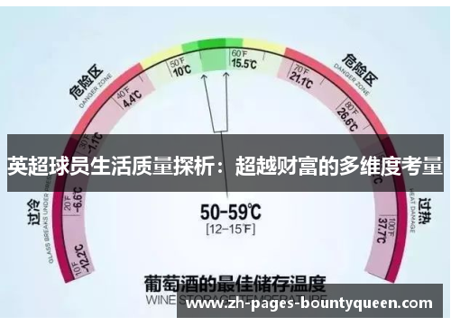 英超球员生活质量探析：超越财富的多维度考量