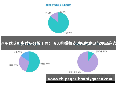 西甲球队历史数据分析工具：深入挖掘每支球队的表现与发展趋势